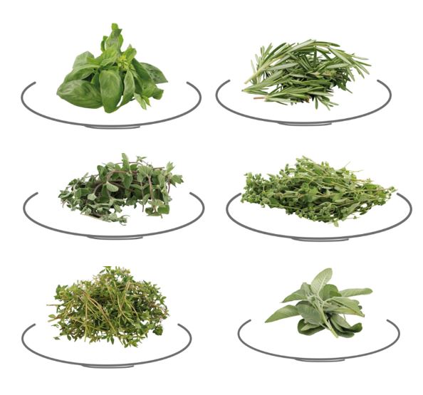 Bouquet garni herbs  Hilcona Foodservice